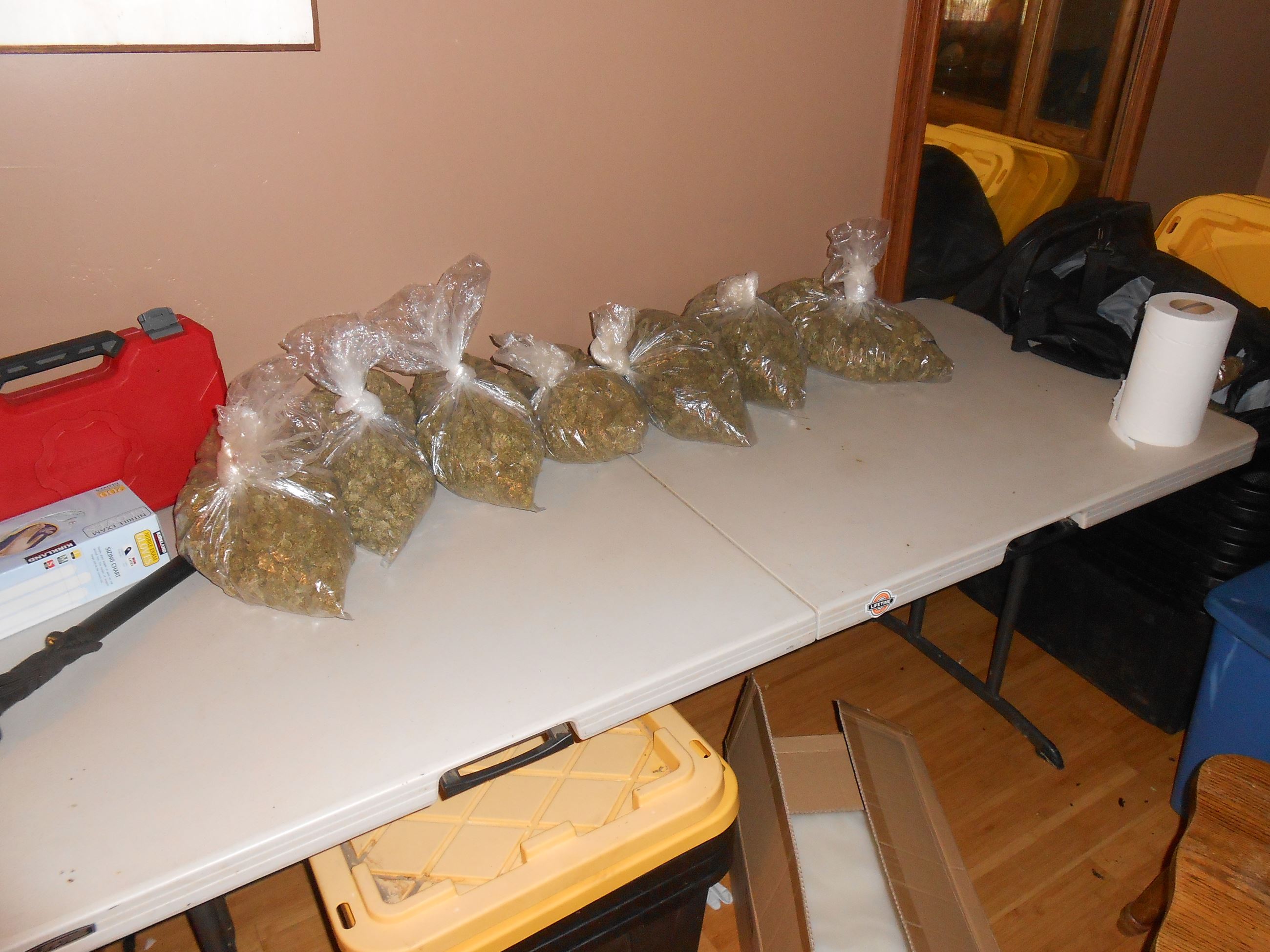 201505448 processed marijuana